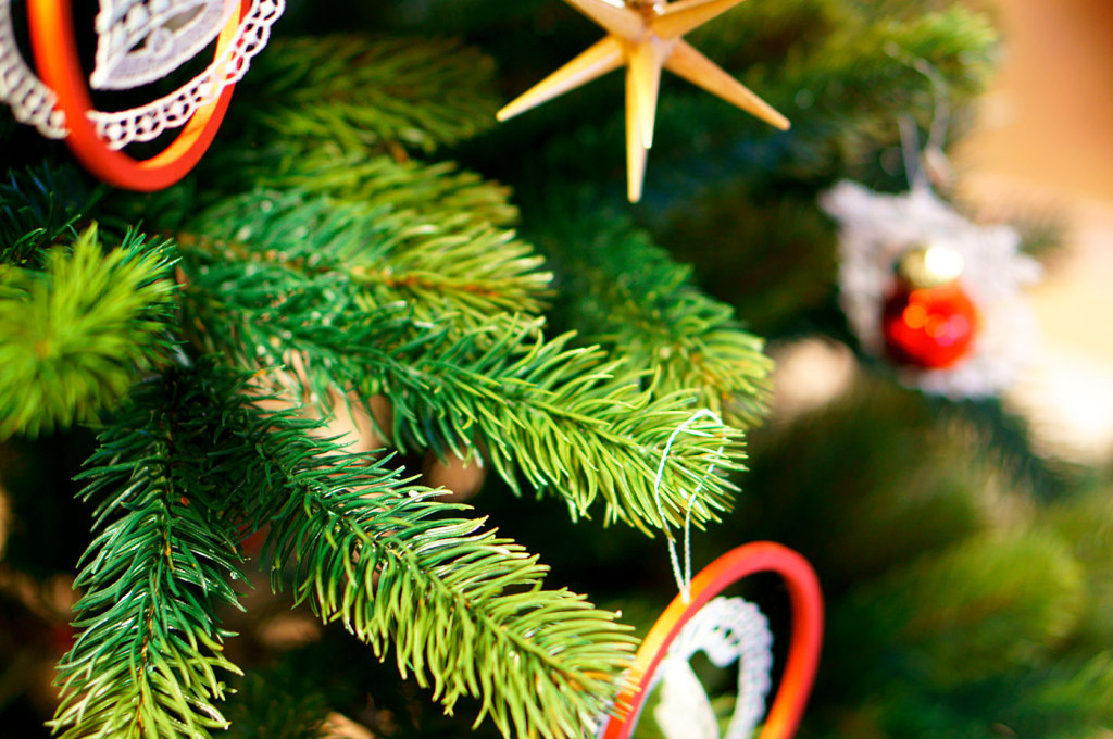 RSグローバルトレード社クリスマスツリー